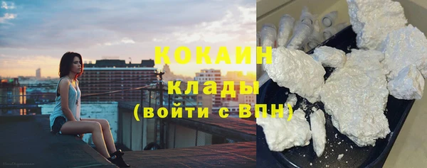 соль ск Козловка