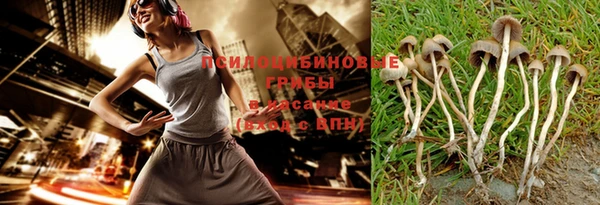 Альфа ПВП Касимов