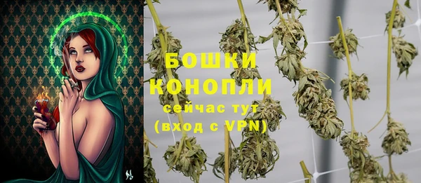 соль ск Козловка