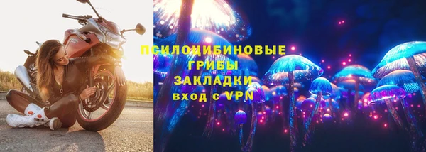 мет Корсаков