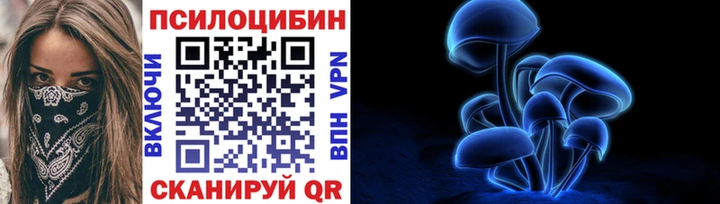 Галлюциногенные грибы мицелий где можно купить Михайловка